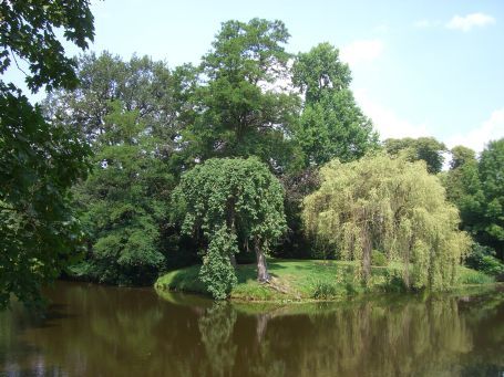 Bergen : Kasteel Well, Schlossgarten